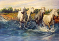 Horses in the river by Χρήστος Τυρεκίδης