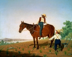 In the Cornfield by James Goodwyn Clonney