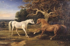 L’Amour de Cheval by James Ward