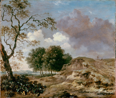 Landscape by Jan Wijnants