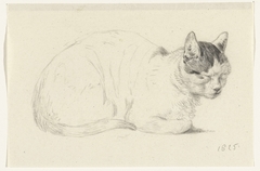 Liggende kat, naar rechts by Jean Bernard