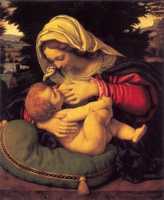 Madonna of the Green Cushion by Andrea Solari