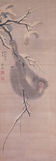 Monkey Hanging from a Branch by Maruyama Ōkyo