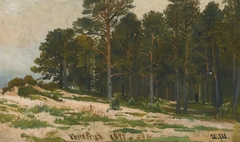 Pine Forest by Ivan Shishkin