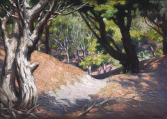 Pine Glade on Sand Dune at Otaki by Vivian Smith