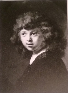 Portrait of a boy with long hair by Rembrandt