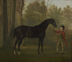 Portrait of a Horse by Sawrey Gilpin