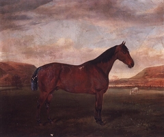 Portrait of a Hunter in landscape by Anonymous