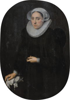 Portrait of a Lady by Jan Cornelisz van 't Woudt