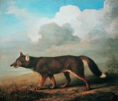 Portrait of a Large Dog by George Stubbs