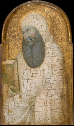 Saint Romuald by Guiduccio Palmerucci