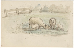 Schapen in een weide by Jozef Israëls