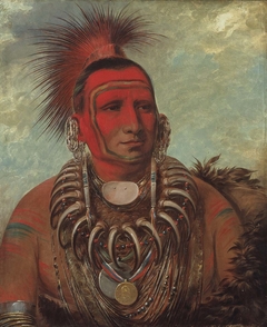 Shon-ta-yi-ga, Little Wolf, a Famous Warrior by George Catlin