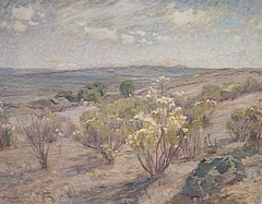 Shrubs flowering by Ramón Valenzuela Llanos