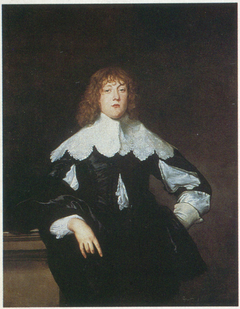 Sir John Borlase, 1st Bt, MP (1619-1672) by Anthony van Dyck