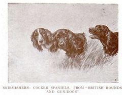 Skirmishers, cocker spaniels by Maud Earl