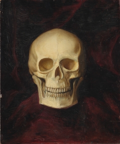 Skull; verso: head of a hunting dog holding a bird in its mouth by Alexander Pope