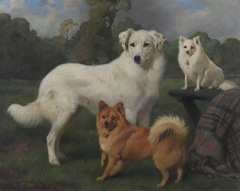 "Snowball", "Marco" & "Janey" by Charles Burton Barber