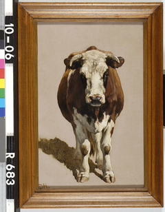 Studie van een stier by Johannes Hubertus Leonardus de Haas