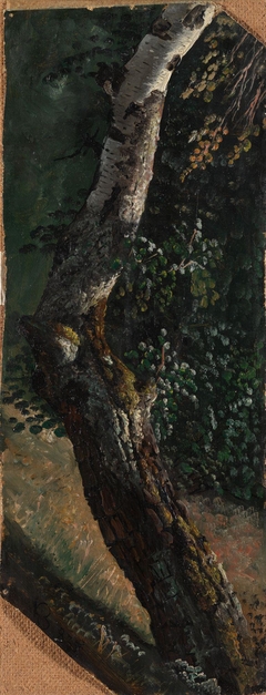 Study of a Birch Tree by Knud Baade