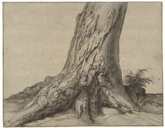 Study of a tree trunk with roots by Jacob de Gheyn II