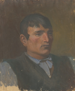 Study of a Young Man in a Dark Vest by László Mednyánszky