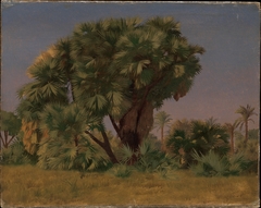 Study of Palm Trees by Jean-Léon Gérôme