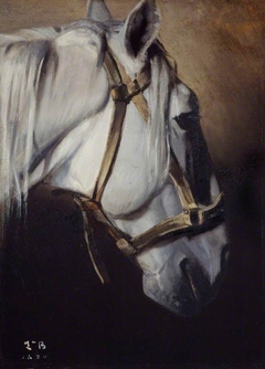 Tête du cheval blanc [Head of a white horse] by Léon Bonnat