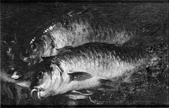 Two Carps on a Kitchen Table by Felice Boselli