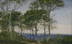 View Through Beech Trees Across a Fiord by P C Skovgaard