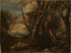 Wood Interior by Salvator Rosa