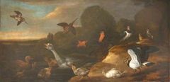 A Goose with Goslings, Curlews, and other Marsh and Moorland Birds by Francis Barlow