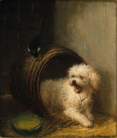 A Puppy in a Barrel by Henriëtte Ronner-Knip