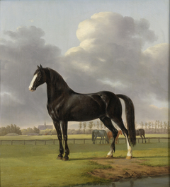 Adriaan van der Hoop’s Trotter ‘De Vlugge’ (The Fast One) in a Meadow by Anthony Oberman