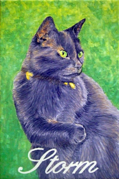 Cat portrait "Storm" by José Angulo