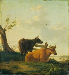 Cattle by Dionys van Dongen