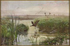 Common moorhen by Józef Chełmoński