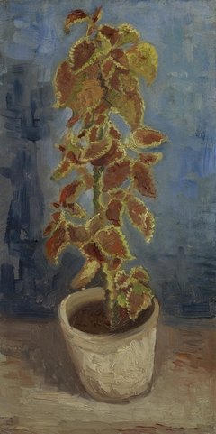 Flame Nettle in a Flowerpot by Vincent van Gogh