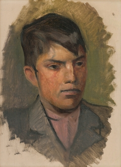 Head Study of a Boy in a Pink Shirt by László Mednyánszky