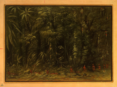 Interior of an Amazon Forest - Zurumati by George Catlin