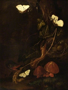 Ivy, with bird's nest, snakes and moths by Karl Wilhelm de Hamilton