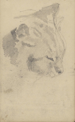 Kop van een kat by George Hendrik Breitner