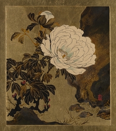 Lacquer Paintings of Various Subjects: Peonies by Shibata Zeshin