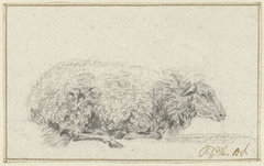 Liggend schaap, van opzij, naar rechts by Pieter Gerardus van Os