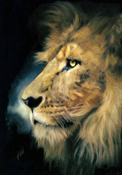 Lion of Judah by John Halvorsen