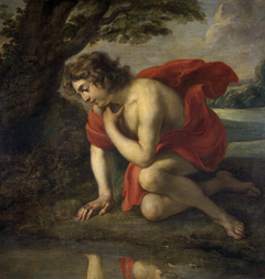 Narcissus by Jan Cossiers