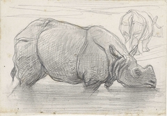 Neushoorn in het water by August Allebé