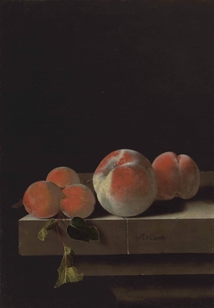 Peaches and apricots on a stone ledge by Adriaen Coorte