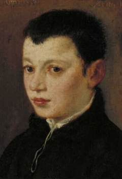 Portrait of a boy by Paolo Veronese