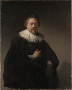 Portrait of a Man, probably a Member of the Van Beresteyn Family by Rembrandt